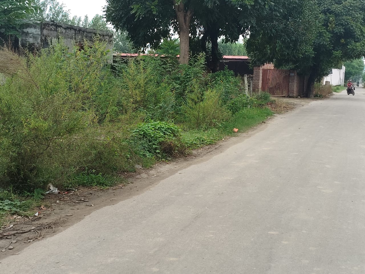 Shops for Sale in Hoshiarpur
