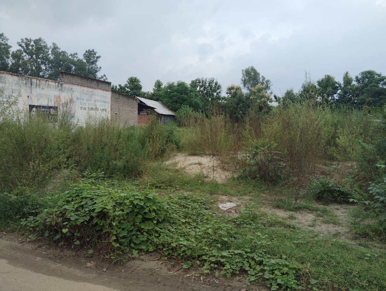Shops for Sale in Hoshiarpur