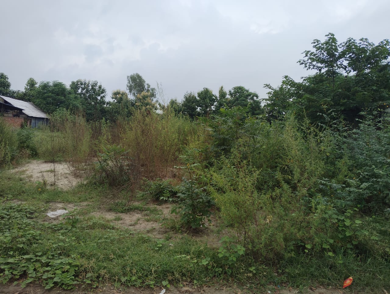 Shops for Sale in Hoshiarpur