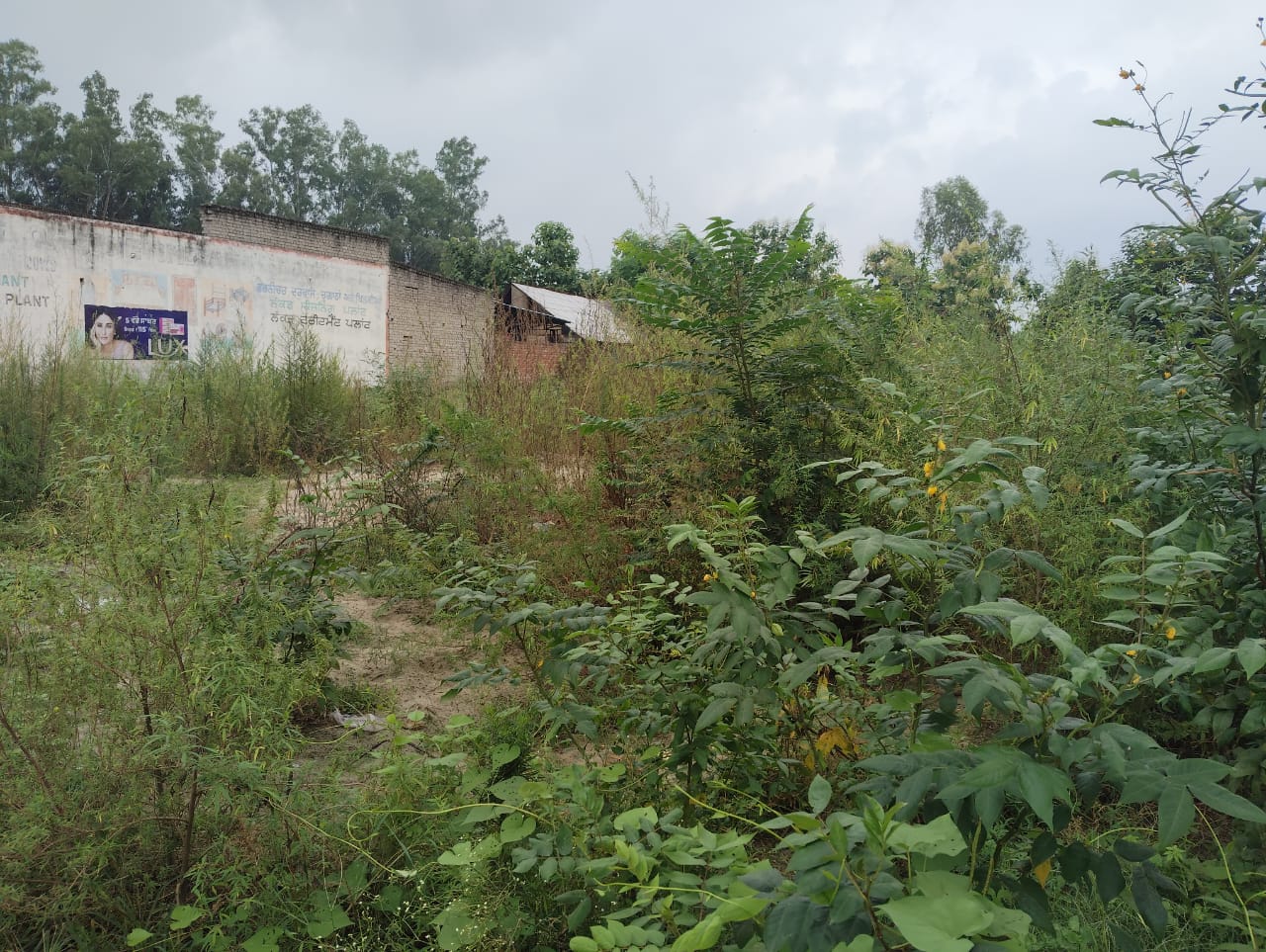 Shops for Sale in Hoshiarpur