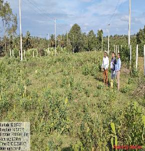 Plot for Sale in Mysuru