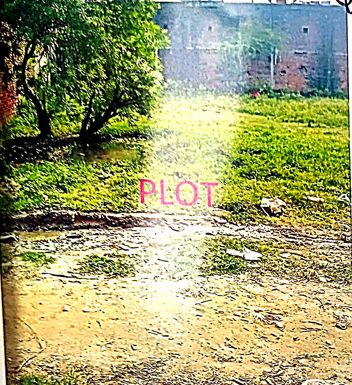 Plot for Sale in Arrah