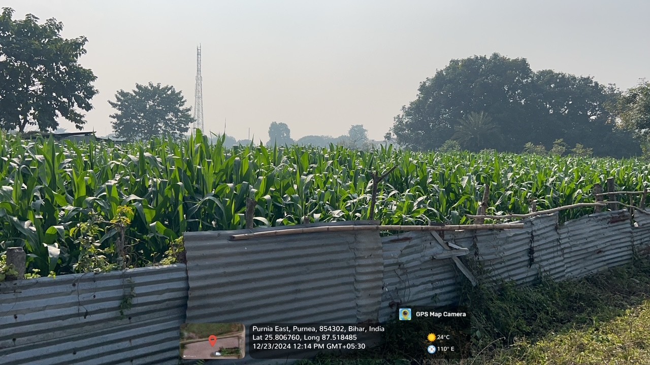 Plot for Sale in Purnea