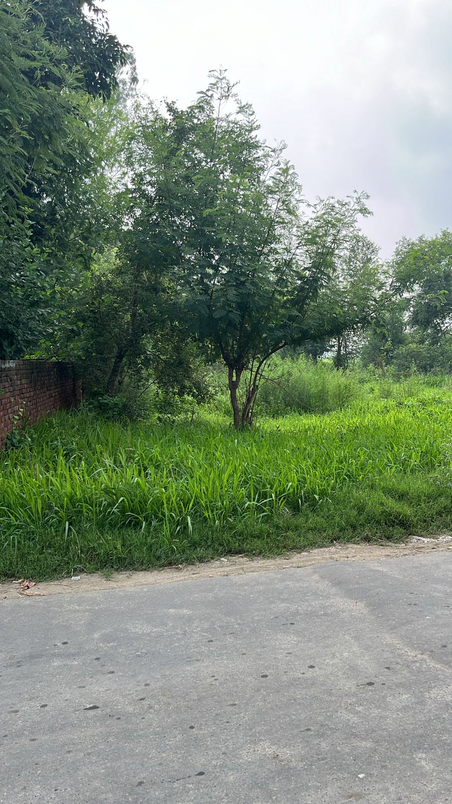 Plot for Sale in VILL. GARHI MAHA SINGH TEHSIL PHILLAUR JALANDHAR, Nawanshahr