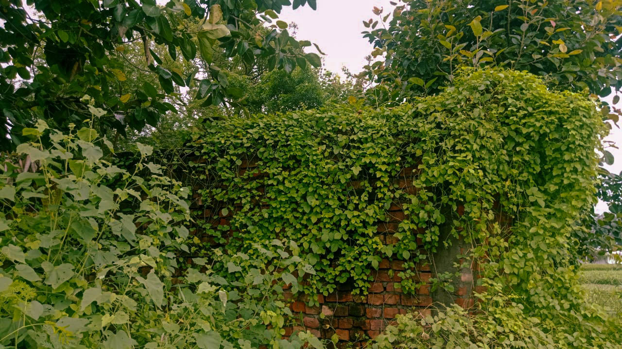 Industrial Plot with Factory Building for Sale in village vancheri, Amritsar