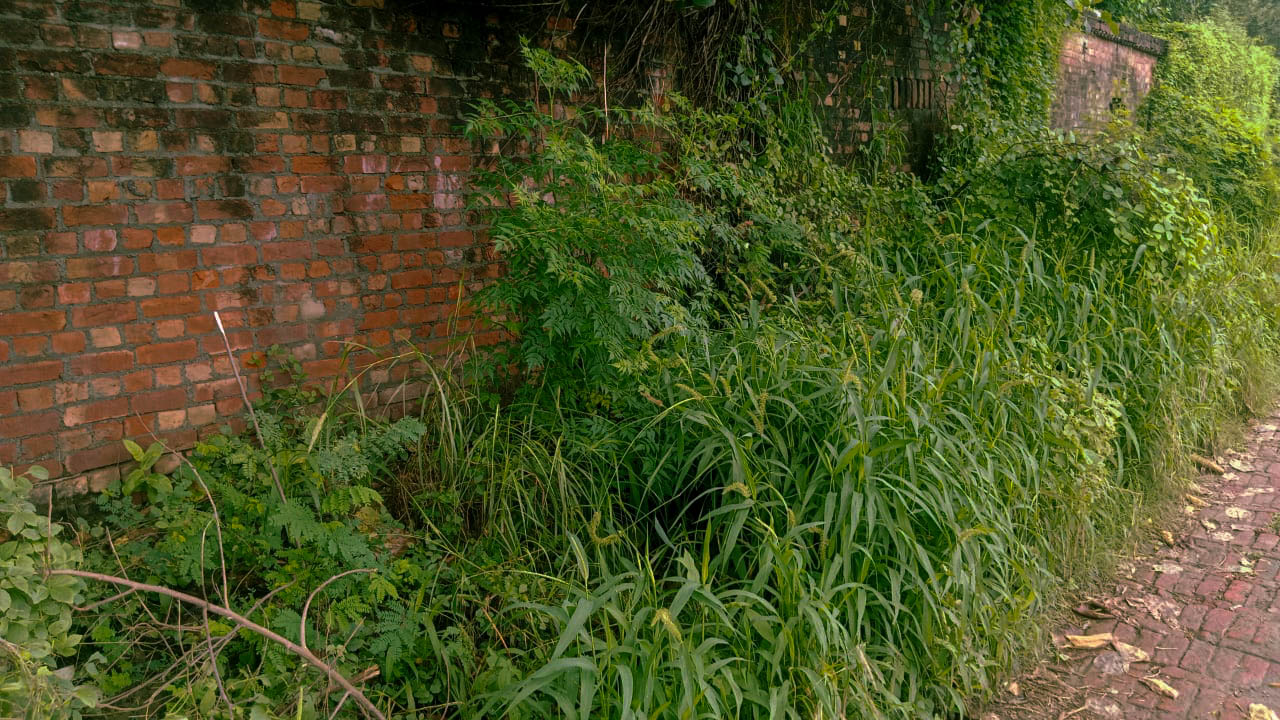 Industrial Plot with Factory Building for Sale in village vancheri, Amritsar
