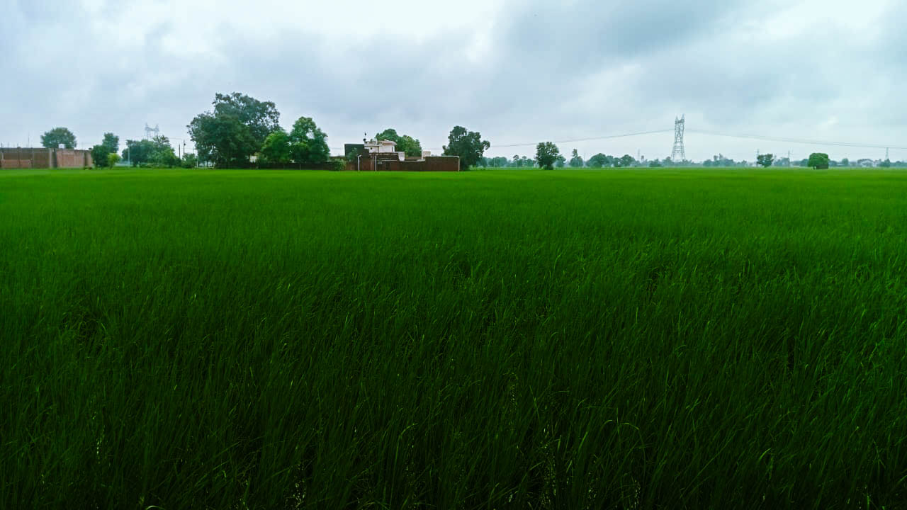 Industrial Plot with Factory Building for Sale in village vancheri, Amritsar