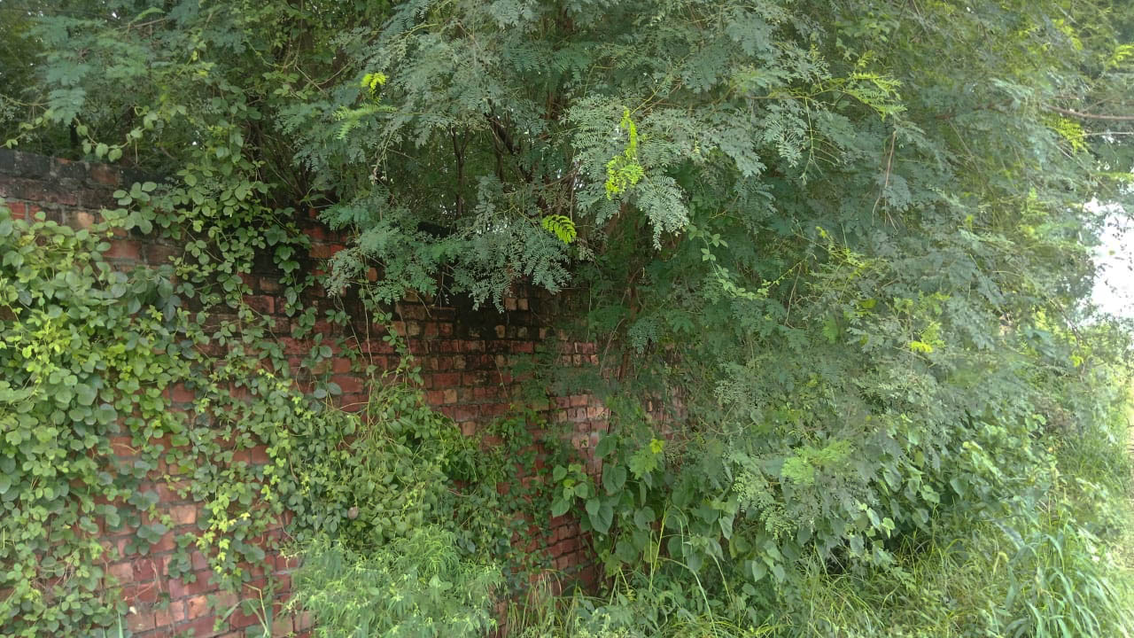 Industrial Plot with Factory Building for Sale in village vancheri, Amritsar