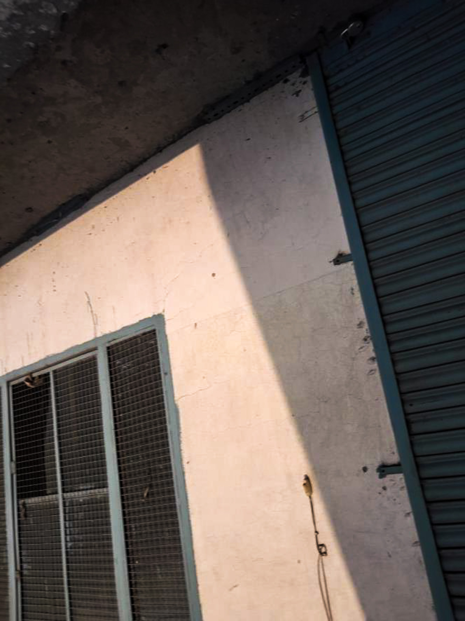 Industrial Plot with Factory Building for Sale in Phase – VIII, Focal Point, Ludhiana, Ludhiana