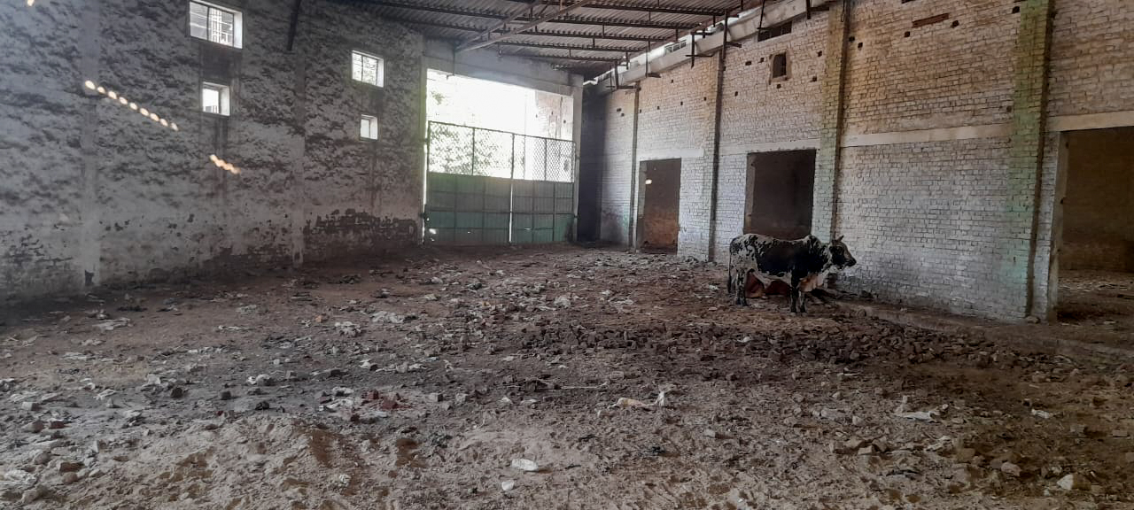 Industrial Plot with Factory Building for Sale in Jalalabad