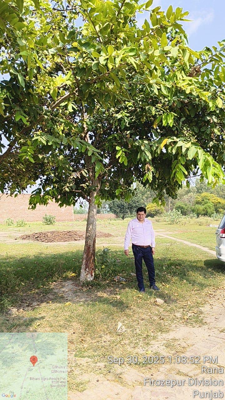 Industrial Plot for Sale in Fazilka