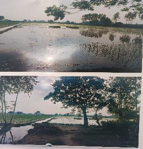 Industrial Plot for Sale in Mansa