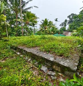 Plot for Sale in tholicode, Nedumangad