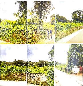 LAND ONLY for Sale in Kanjirappally