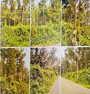 LAND ONLY for Sale in Kanjirappally
