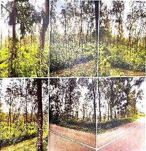LAND ONLY for Sale in Kanjirappally