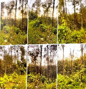 LAND ONLY for Sale in Kanjirappally