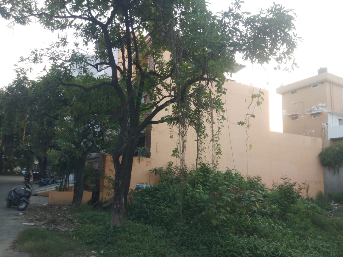 Individual House for Sale in Barwara Mazra