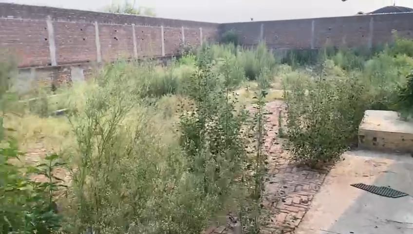 Godowns for Sale in Nawanshahar, Nawanshahr