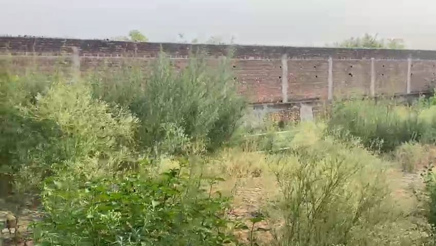 Godowns for Sale in Nawanshahar, Nawanshahr